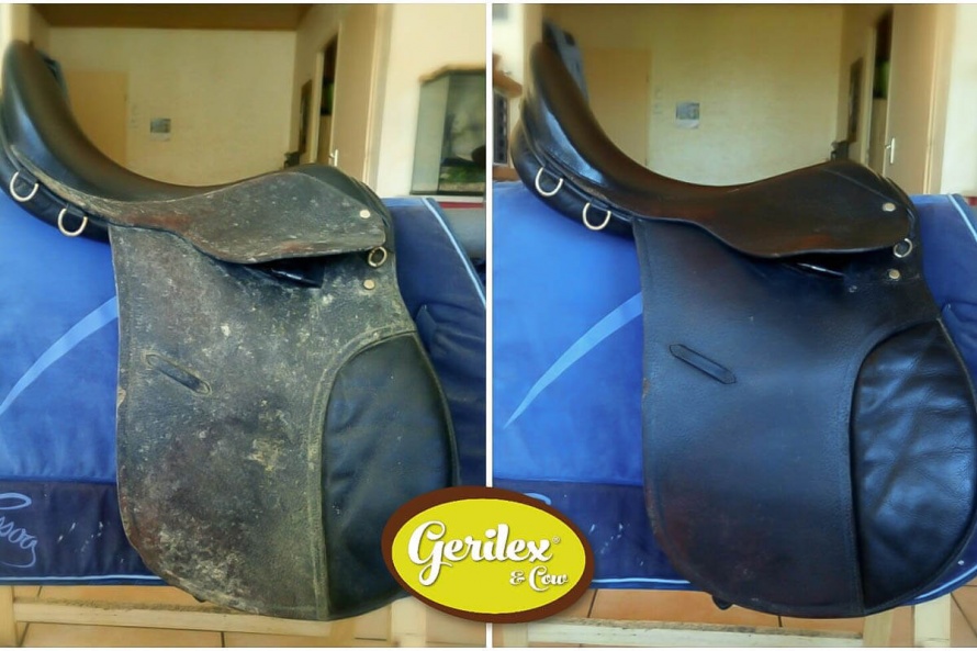 Before / after on a horse saddle